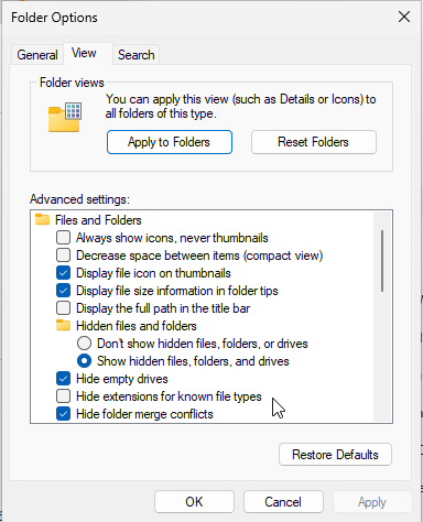 win11 file view